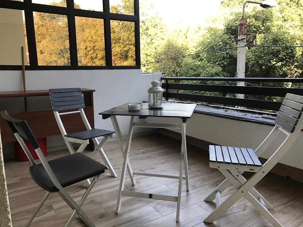 Kiseleff Studio Hotel Bucharest Apartment