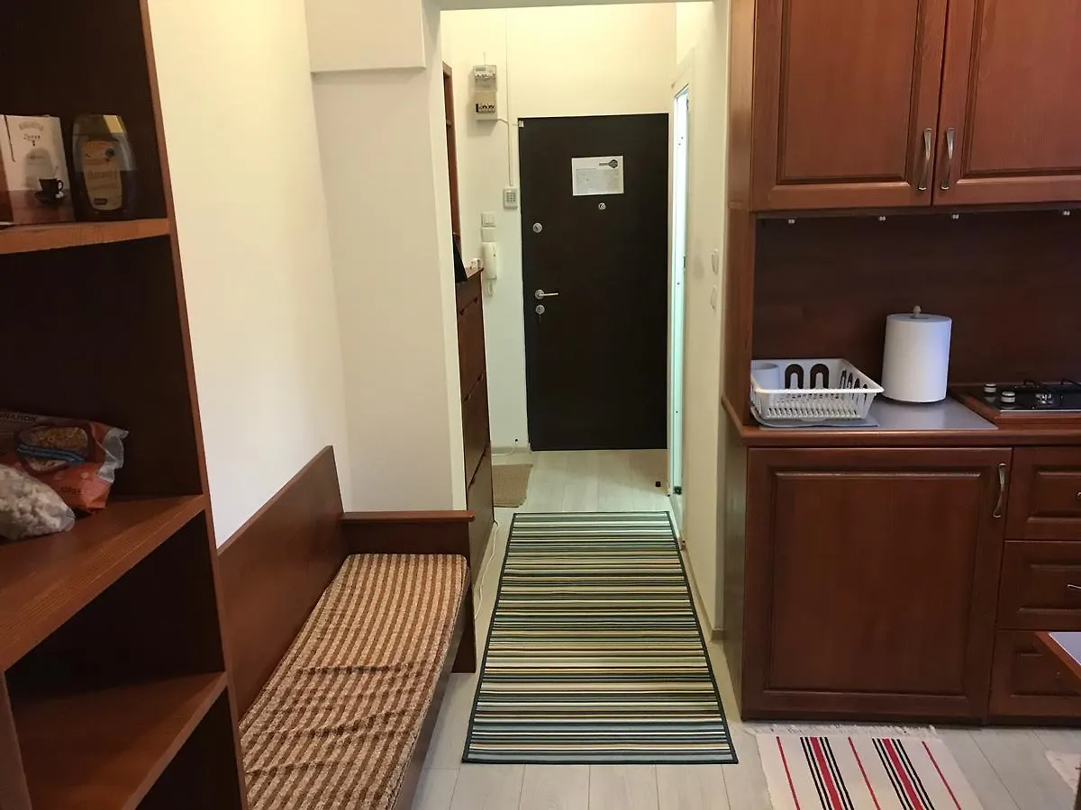 Kiseleff Studio Hotel Bucharest Romania
